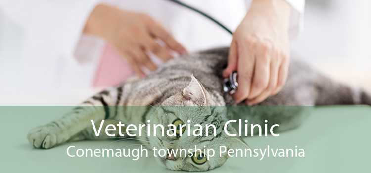 Veterinarian Clinic Conemaugh township Pennsylvania