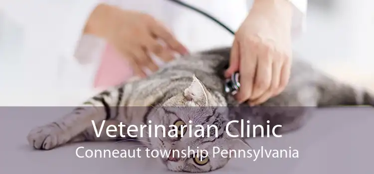 Veterinarian Clinic Conneaut township Pennsylvania
