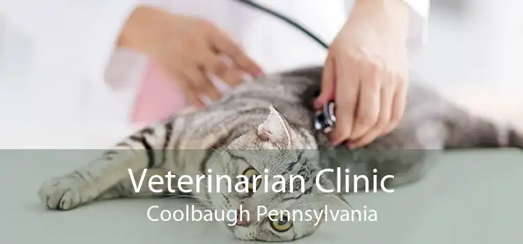 Veterinarian Clinic Coolbaugh Pennsylvania