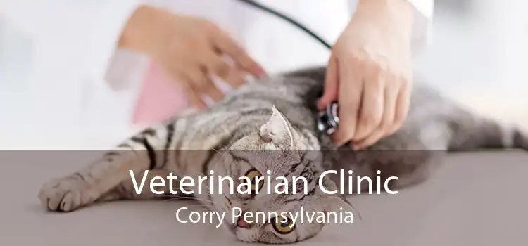 Veterinarian Clinic Corry Pennsylvania