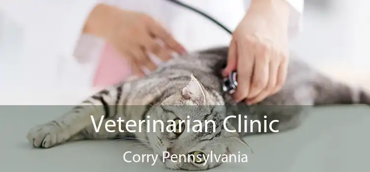 Veterinarian Clinic Corry Pennsylvania