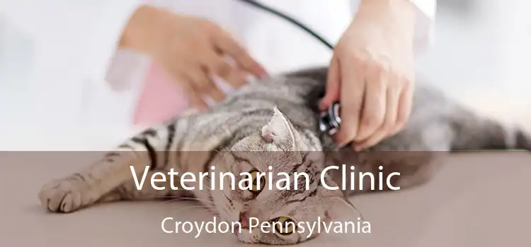 Veterinarian Clinic Croydon Pennsylvania