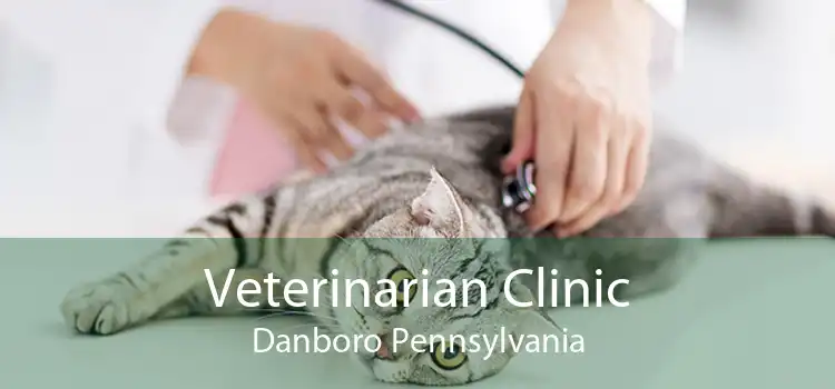 Veterinarian Clinic Danboro Pennsylvania