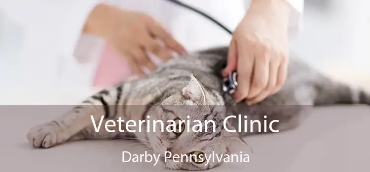 Veterinarian Clinic Darby Pennsylvania
