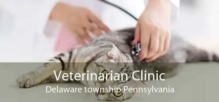 Veterinarian Clinic Delaware township Pennsylvania