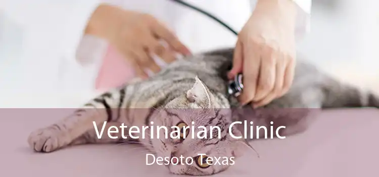 Veterinarian Clinic Desoto Texas