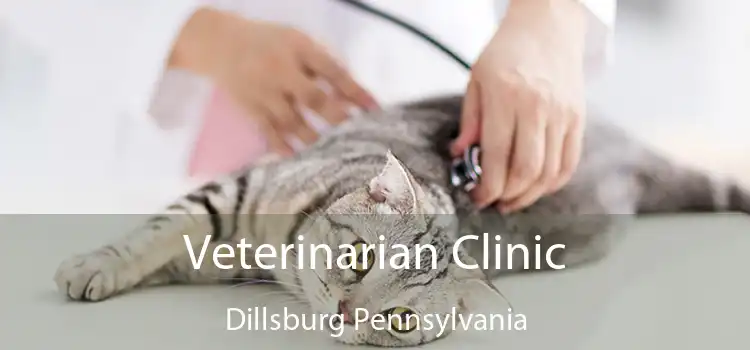 Veterinarian Clinic Dillsburg Pennsylvania
