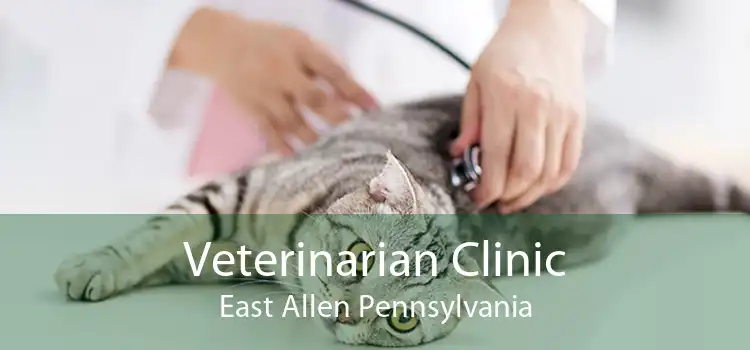 Veterinarian Clinic East Allen Pennsylvania