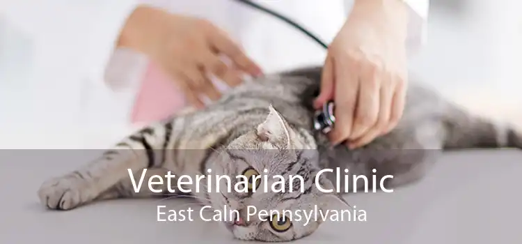 Veterinarian Clinic East Caln Pennsylvania