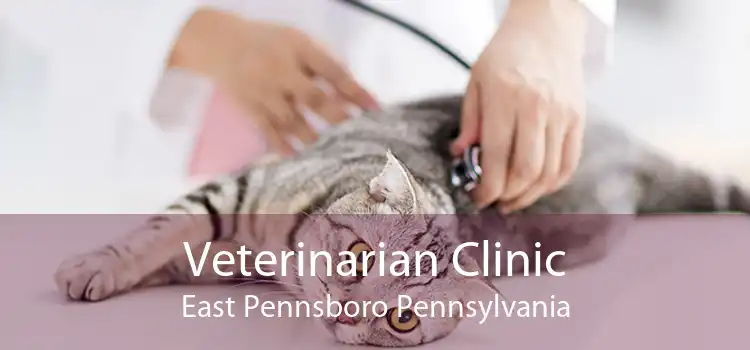 Veterinarian Clinic East Pennsboro Pennsylvania