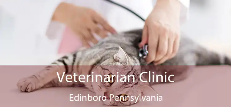 Veterinarian Clinic Edinboro Pennsylvania