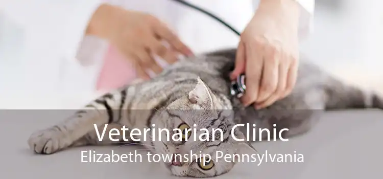 Veterinarian Clinic Elizabeth township Pennsylvania