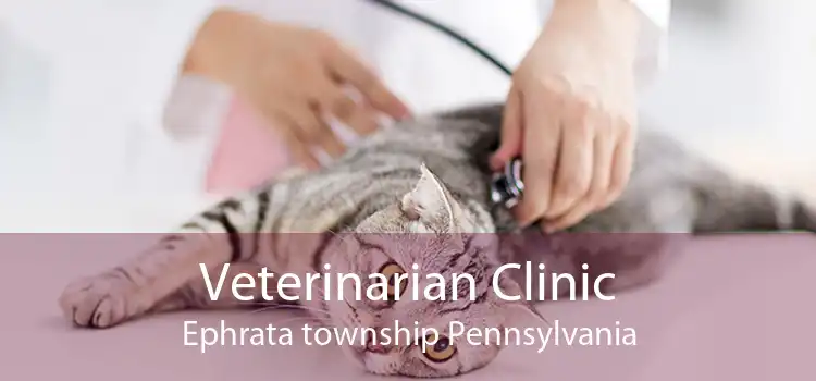 Veterinarian Clinic Ephrata township Pennsylvania