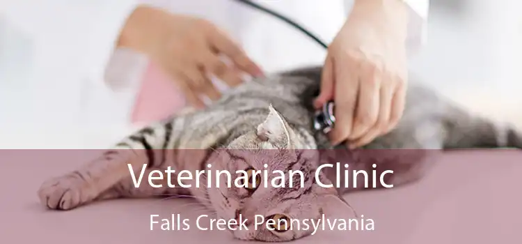 Veterinarian Clinic Falls Creek Pennsylvania