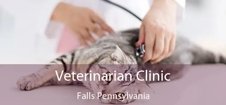 Veterinarian Clinic Falls Pennsylvania