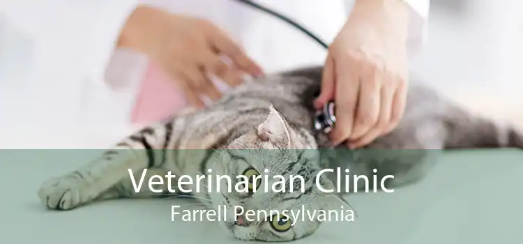 Veterinarian Clinic Farrell Pennsylvania