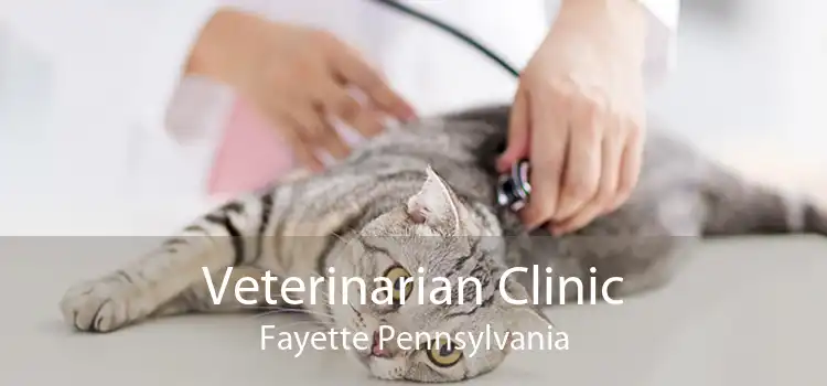 Veterinarian Clinic Fayette Pennsylvania