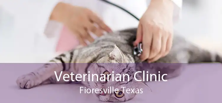 Veterinarian Clinic Fioresville Texas