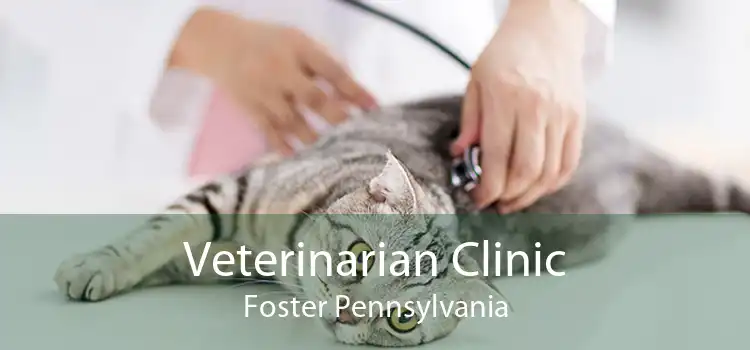 Veterinarian Clinic Foster Pennsylvania