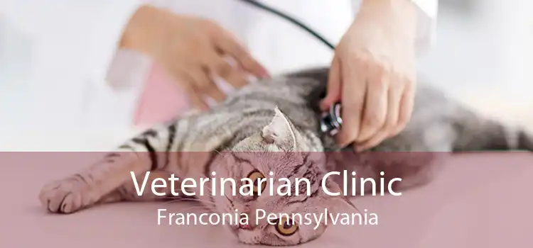 Veterinarian Clinic Franconia Pennsylvania