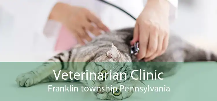 Veterinarian Clinic Franklin township Pennsylvania