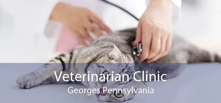 Veterinarian Clinic Georges Pennsylvania