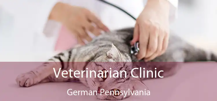 Veterinarian Clinic German Pennsylvania