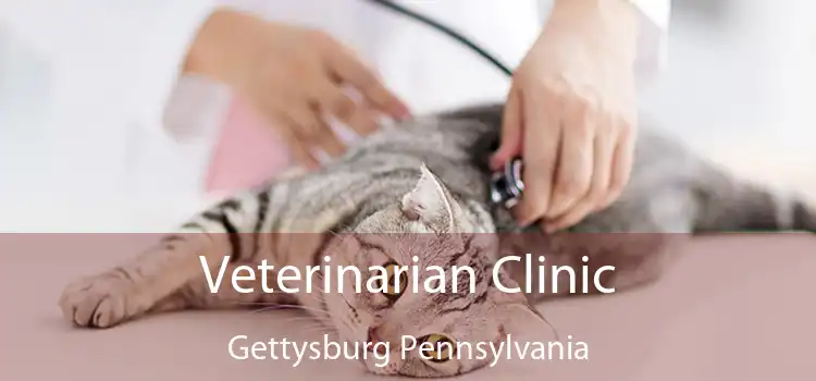 Veterinarian Clinic Gettysburg Pennsylvania