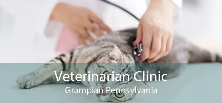 Veterinarian Clinic Grampian Pennsylvania