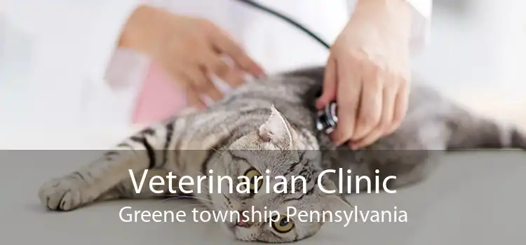 Veterinarian Clinic Greene township Pennsylvania