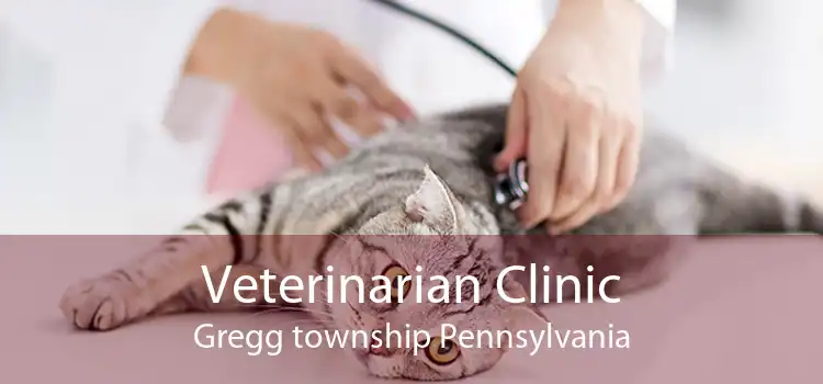 Veterinarian Clinic Gregg township Pennsylvania
