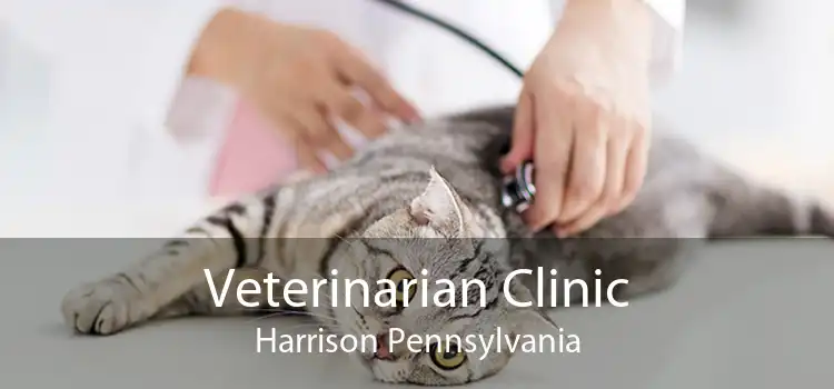 Veterinarian Clinic Harrison Pennsylvania