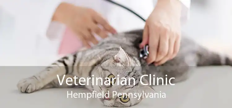 Veterinarian Clinic Hempfield Pennsylvania