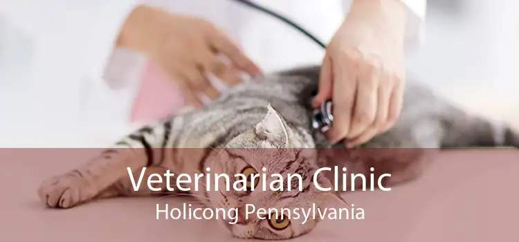 Veterinarian Clinic Holicong Pennsylvania