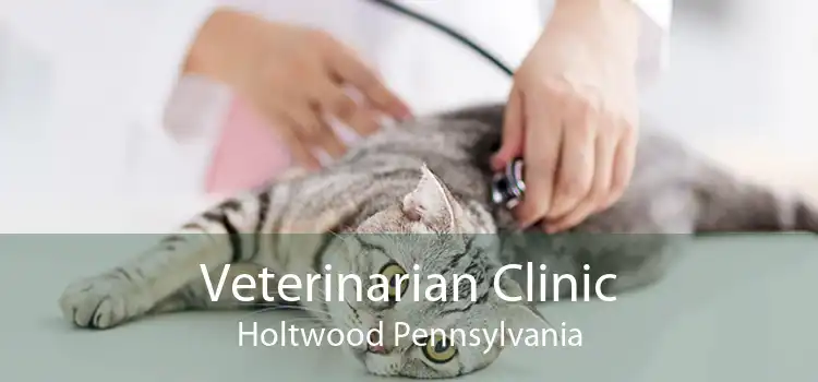 Veterinarian Clinic Holtwood Pennsylvania