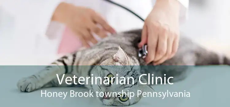 Veterinarian Clinic Honey Brook township Pennsylvania