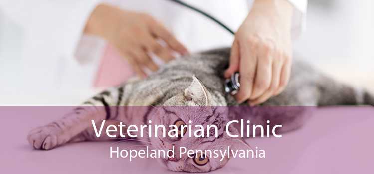 Veterinarian Clinic Hopeland Pennsylvania