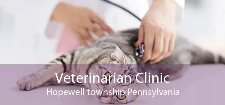 Veterinarian Clinic Hopewell township Pennsylvania
