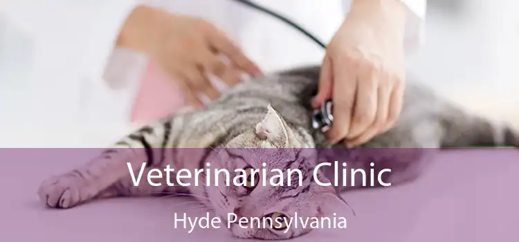 Veterinarian Clinic Hyde Pennsylvania