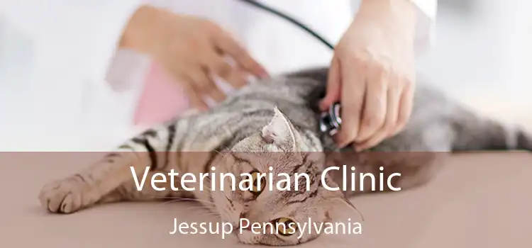 Veterinarian Clinic Jessup Pennsylvania