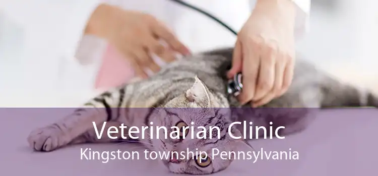 Veterinarian Clinic Kingston township Pennsylvania