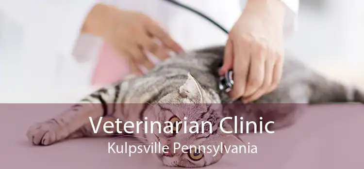 Veterinarian Clinic Kulpsville Pennsylvania