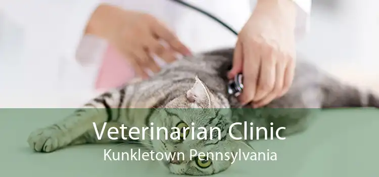 Veterinarian Clinic Kunkletown Pennsylvania