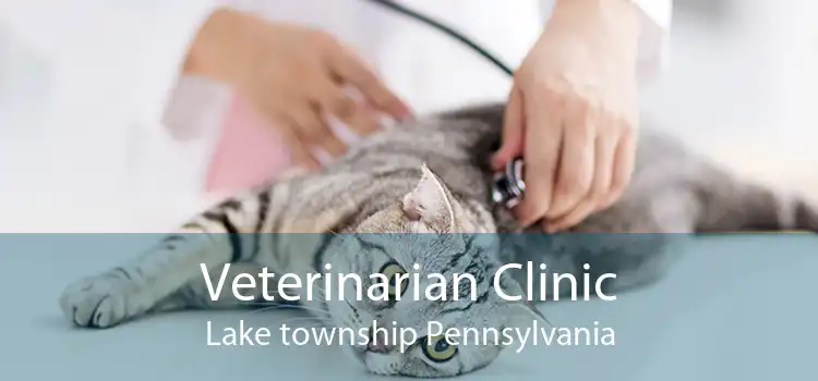 Veterinarian Clinic Lake township Pennsylvania