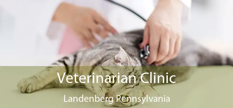 Veterinarian Clinic Landenberg Pennsylvania