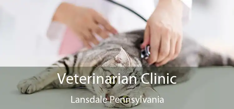 Veterinarian Clinic Lansdale Pennsylvania
