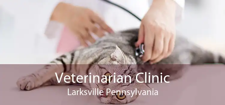 Veterinarian Clinic Larksville Pennsylvania