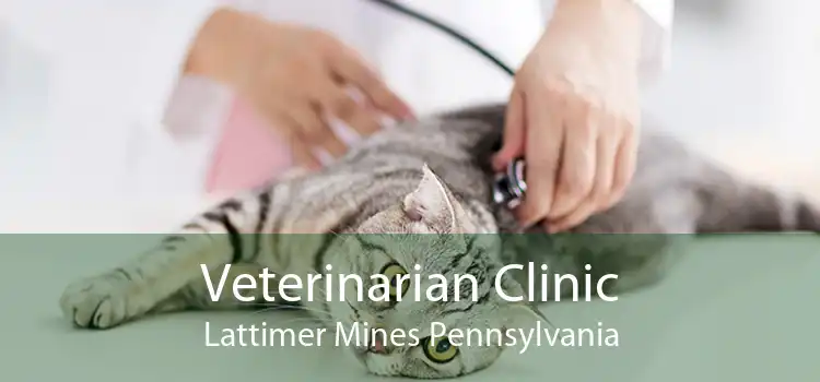 Veterinarian Clinic Lattimer Mines Pennsylvania