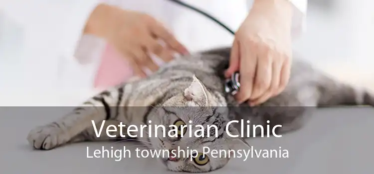 Veterinarian Clinic Lehigh township Pennsylvania