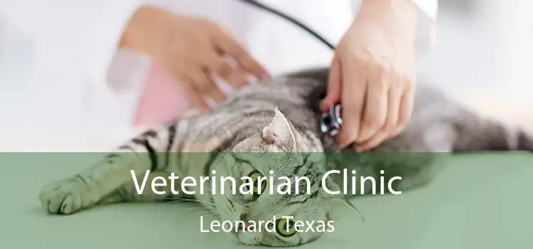 Veterinarian Clinic Leonard Texas